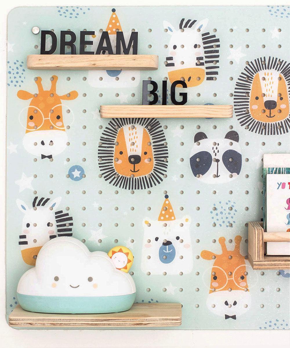 Panel acrílico zoo 60x50cm - Tienda Girom